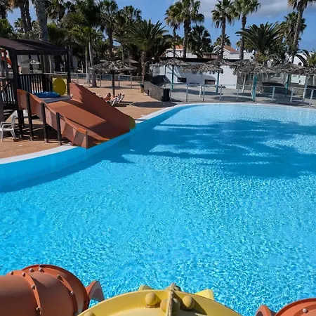 Oasis Bliss